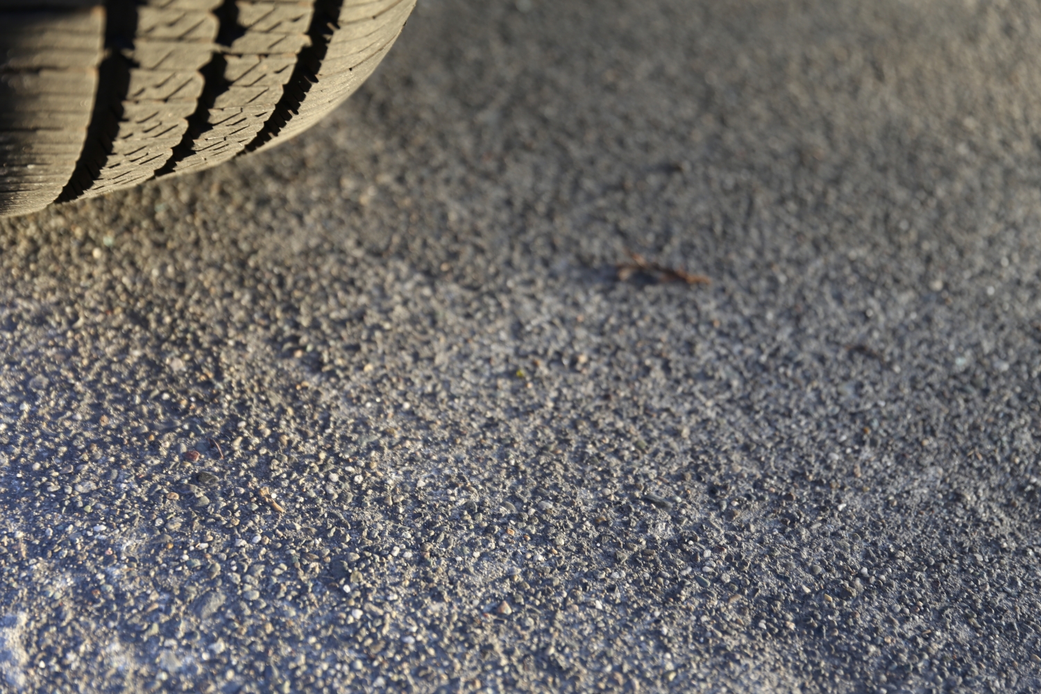 Forgetting Problems Evolution Counseling